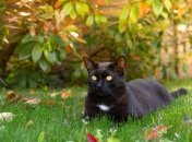 На днях Украину накроет новое потепление