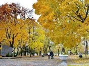 Погода в Украине 24 октября: преимущественно без осадков