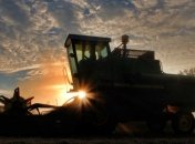 Акції українських агрохолдингів падають 