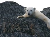 Глобальное потепление: В Европе выросла температура