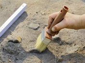 Ученые нашли следы ножек самых древних животных на Земле