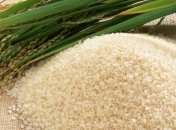 Власти Фукусимы начали проверку риса на радиоактивность