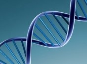 Как на самом деле выглядит структура ДНК?