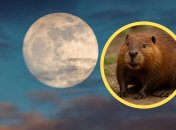 Суперлуние еще называют Бобровой Луной