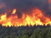 В Житомирской области горит лес в заповеднике
