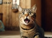 Кошки могут защитить ваш дом от злых духов и принести в него благополучие