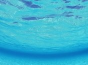 В Греции открылась подводная выставка