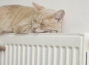 Як компенсувати частину грошей за опалення і хто може на це розраховувати