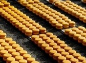 В январе-апреле Украина сократила экспорт сыра в 4,7 раза