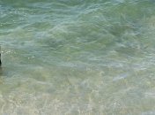 В Турции запретили фотографировать на пляжах девушек в купальниках