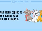 Только позитив и отличное настроение: анекдоты на день 5 мая