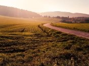 В Украине продали на электронных торгах 25 тыс гектаров земельных участков