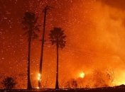 Лесные пожары в Калифорнии: эвакуировали 180 тысяч людей (Видео)