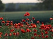 Синоптики дали прогноз погоды на первый месяц лета 