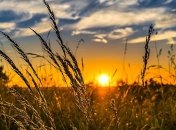 Прогноз на лето: когда украинцам ждать жары 