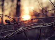 Прогноз погоды в Украине на сегодня: солнечно в половине областей