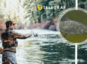 Украинский рыбак поймал большого толстолоба