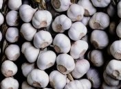 Чесночная шелуха продлевает молодость 