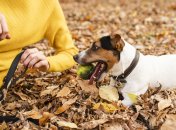 Сьогодні – 10-й день жовтня 2024 року