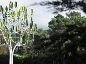 Во Франции разработано электродерево