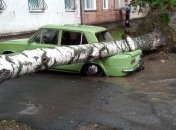 Мощный ливень в Виннице затопил улицы и повалил деревья