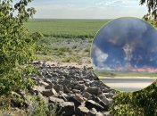 Заросли на месте Каховского водохранилища