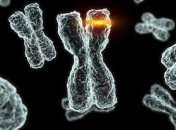 Ученые сделали важное открытие в области генетики