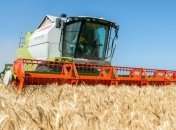 В Госстате рассказали, сколько зерна Украина собрала в 2017 году