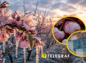 Весенние холода привели к скачку стоимости