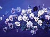 Цветочные натюрморты от талантливого испанского художника (Фото) 