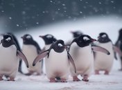 Пингвины помогут раскрыть ваш характер