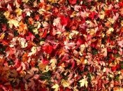 Что грозит здоровью украинцам в ноябре?