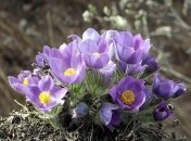 11 марта. Приметы дня