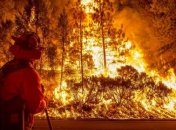 Лесной пожар в Лос-Анджелесе: массово эвакуируют людей