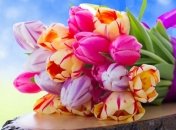 Поздравления с праздником 8 марта в стихах 