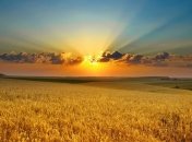 Мало кому пощастить з опадами: прогноз погоди на понеділок, 26 липня