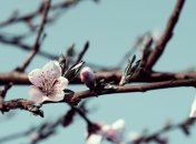 Какой праздник 14 апреля: народные приметы и запреты