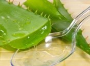 Лечимся соком алоэ