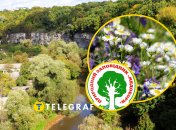 Природный заповедник "Медоборы"