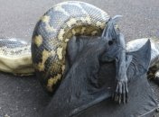 Такого нет больше нигде: обескураживающие кадры из Австралии (Фото)