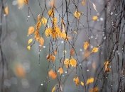 24 ноября. Приметы дня