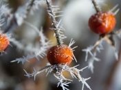 Какой завтра праздник: обычаи традиции на 26 ноября