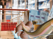 Много рыбы имеет 240 граммов