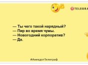 Прийшов кіт із кімнати і повідомив, що ялинка знепритомніла: добірка позитивних анекдотів