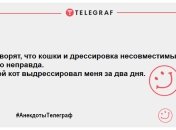З хорошим настроєм можна гори перевернути: смішні анекдоти на ранок