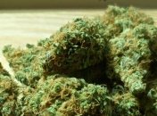 Рыболовное судно у берегов Крита скрывало тонну конопли