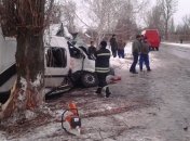 На Луганщине в ДТП с маршруткой пострадали 10 человек