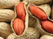 Ученые создали гипоаллергенный арахис