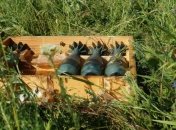 Просування помітно: у ЗСУ розповіли про успіхи на півдні (відео)