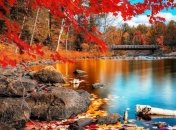 Прогноз погоды в Украине на 8 октября: ожидается теплая погода